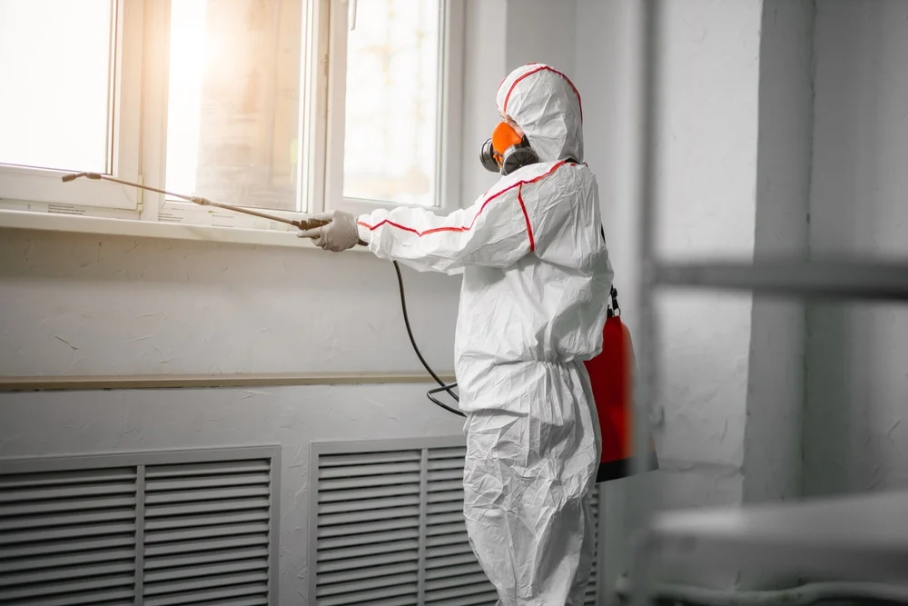 Professional mold remediation services in Forestville, WI